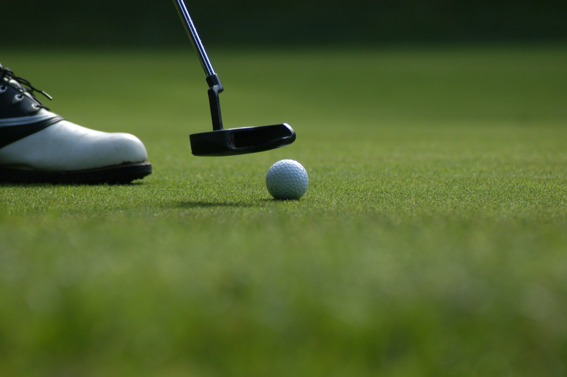 putter close to a golf ball in a green grass field