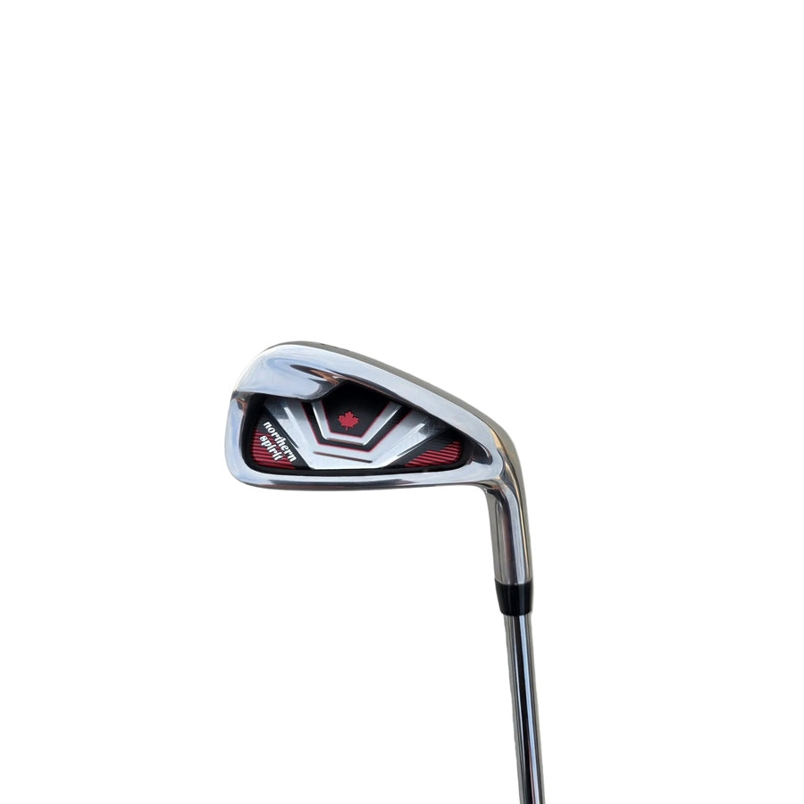 Northern Spirit 2026 13-Piece Golf Set - Stand Bag