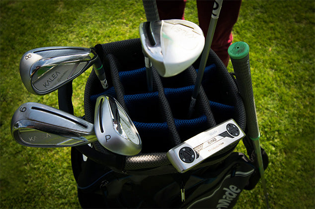 golf clubs organized in a golf bag