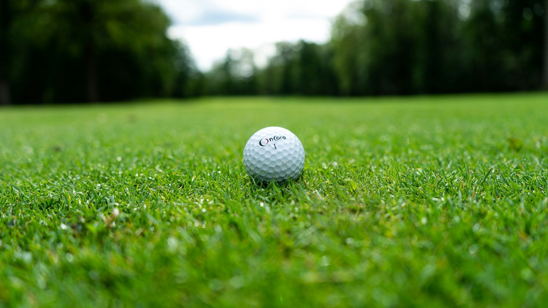 golf ball for spin laid in a golf field grass