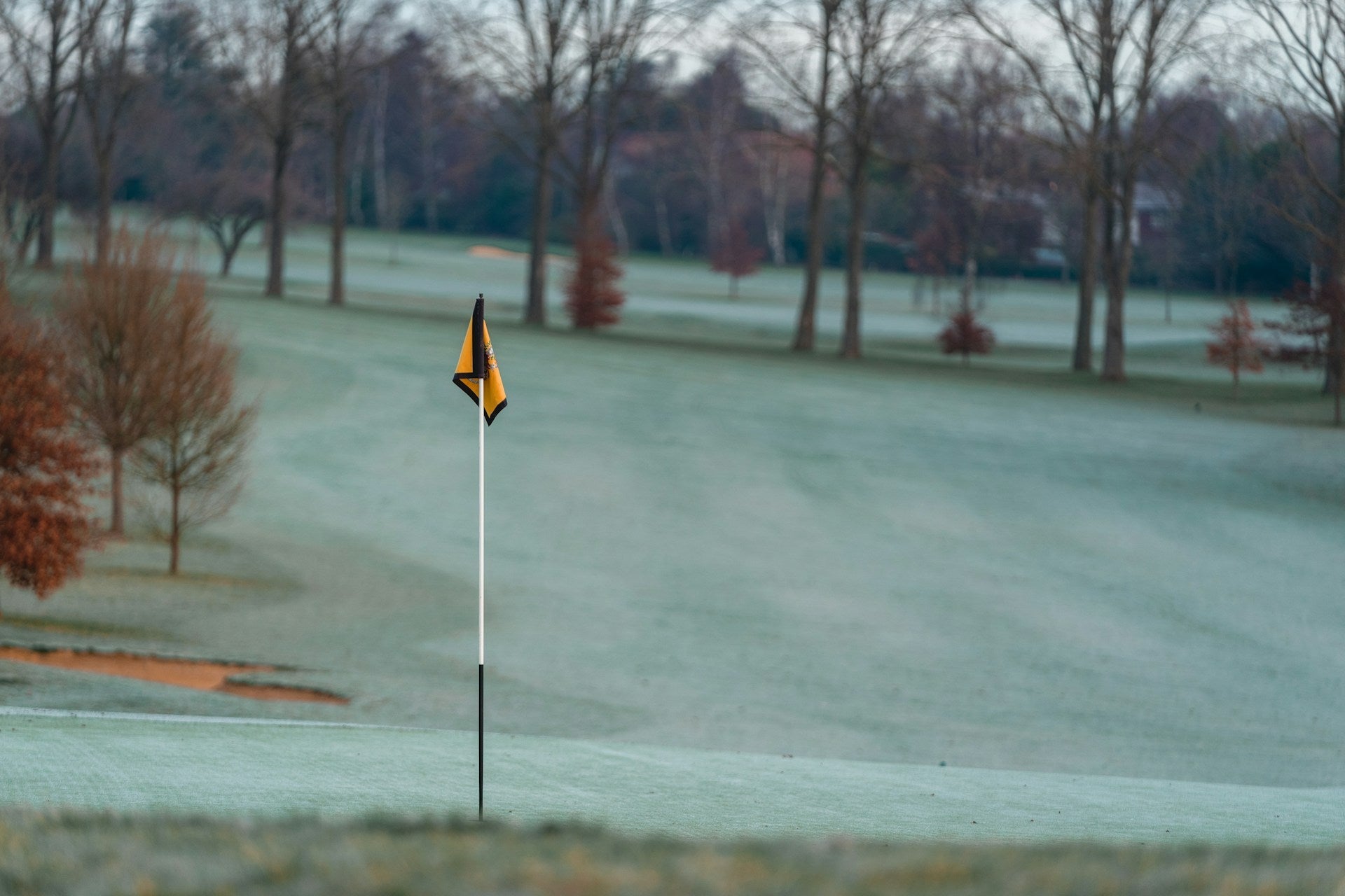golf field during winter with dried trees and a pole with a yellow flag highlighted