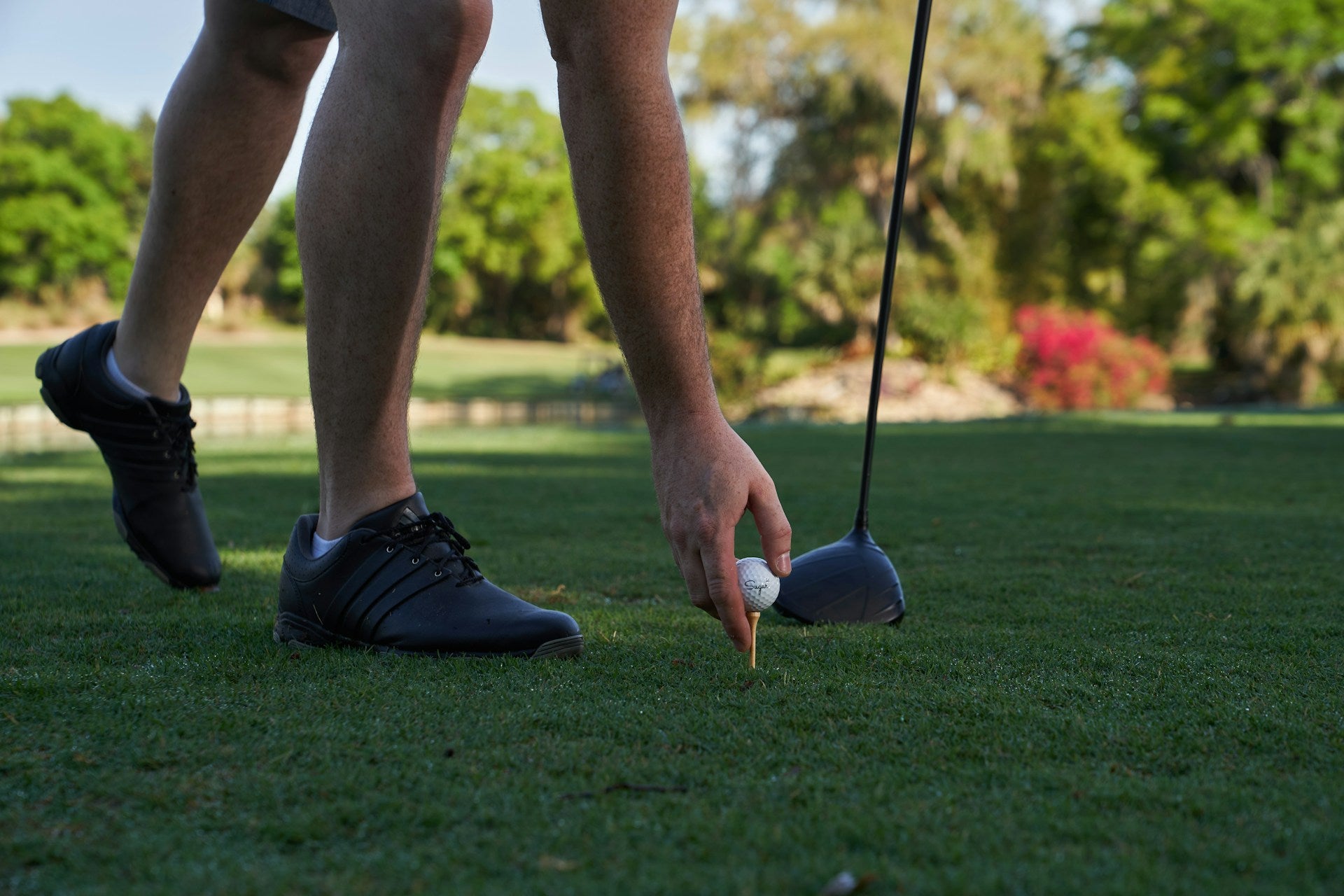 focus on the feet of a golf player while he adjust a ball in a tee to show which golf shoes to use for beginners