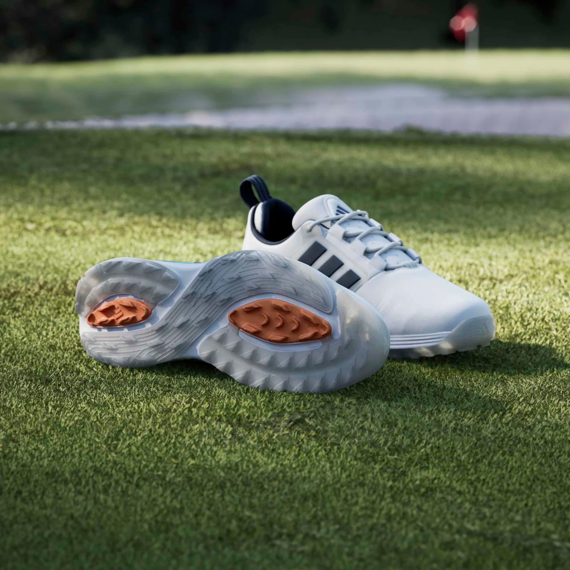 Adidas Adipower 26 Spikeless Golf Shoes - White/Navy