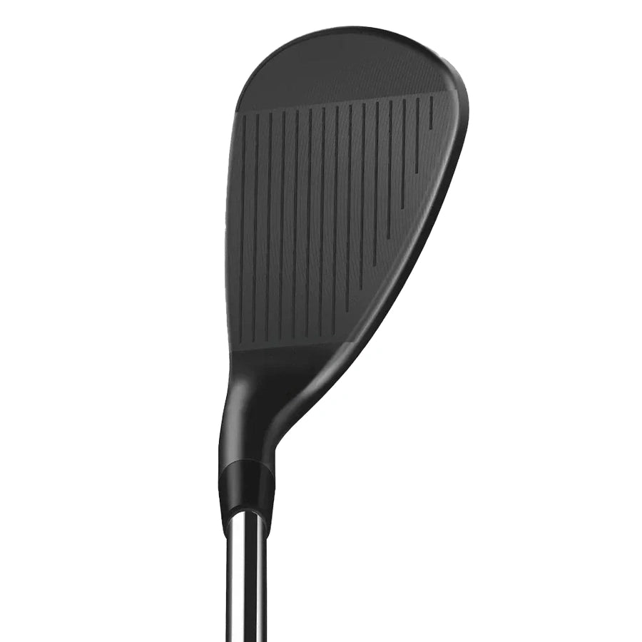 Wilson Infinite Wedge