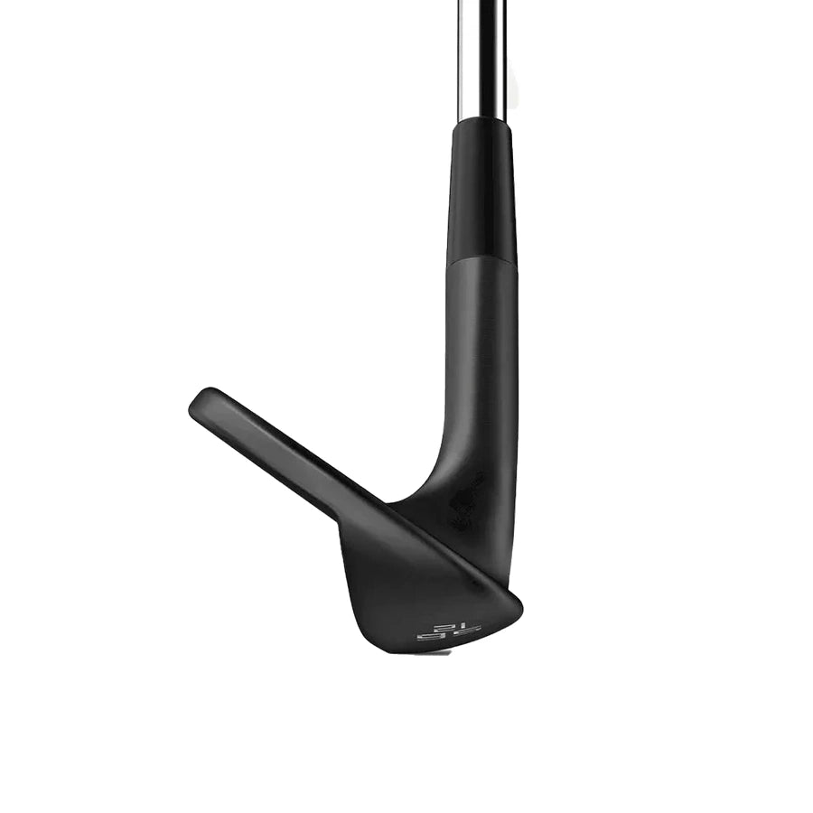 Wilson Infinite Wedge