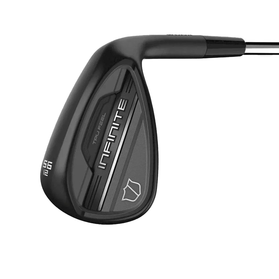 Wilson Infinite Wedge