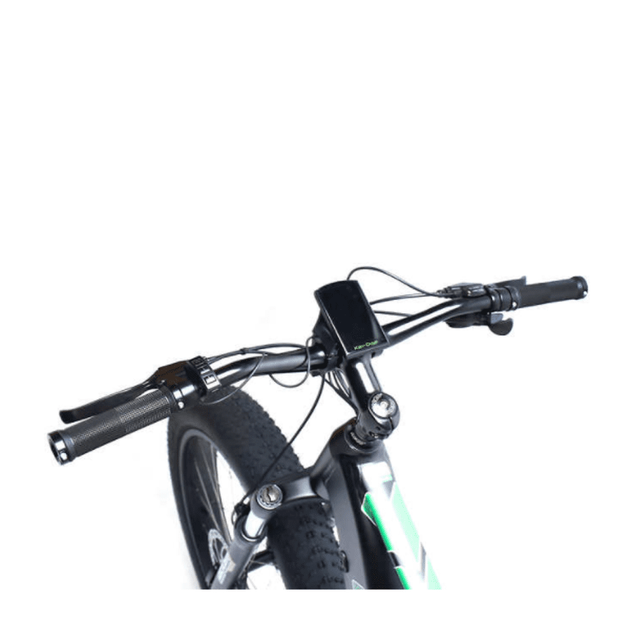 Anaconda online electric bike